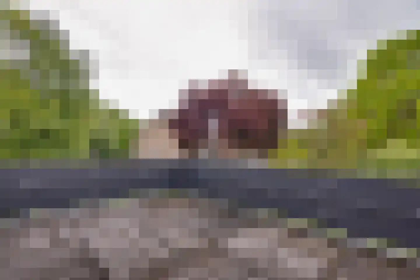 Obrechtlaan 188 Assen thumbnail 18