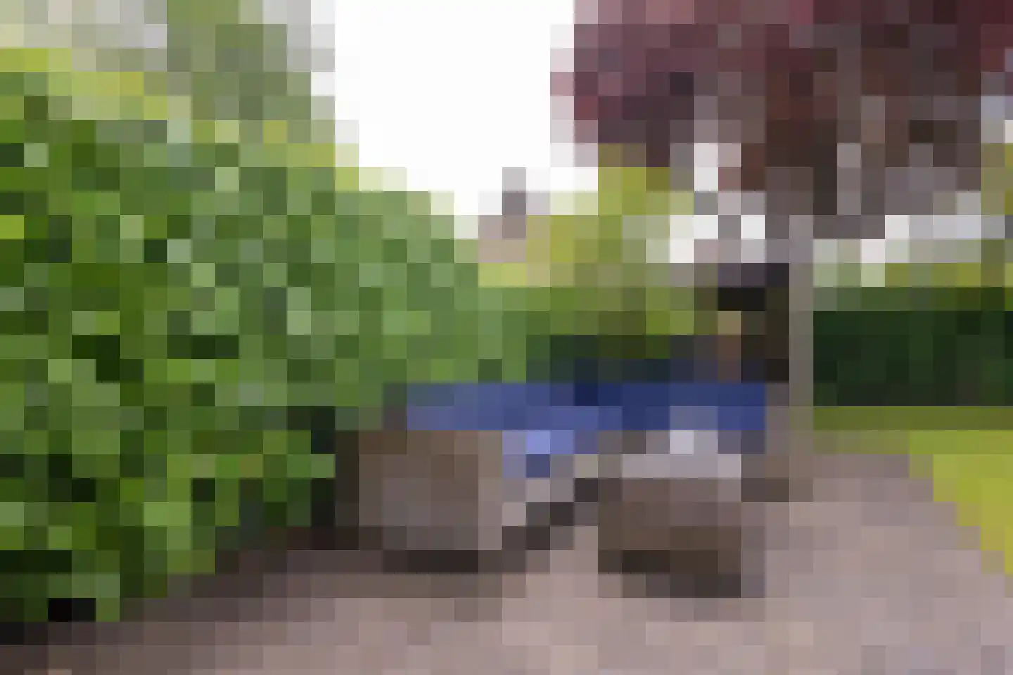 Obrechtlaan 188 Assen thumbnail 28