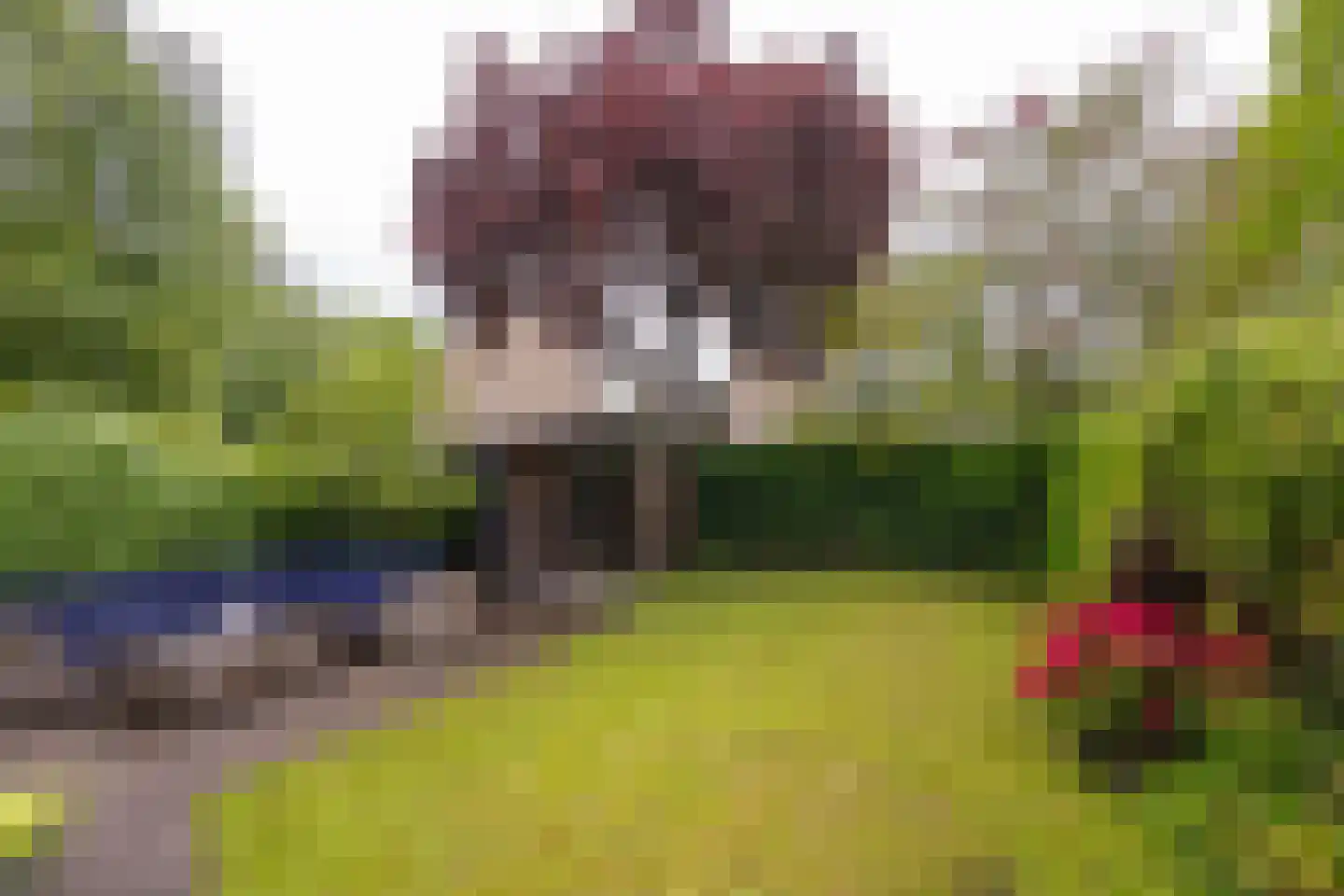 Obrechtlaan 188 Assen thumbnail 32