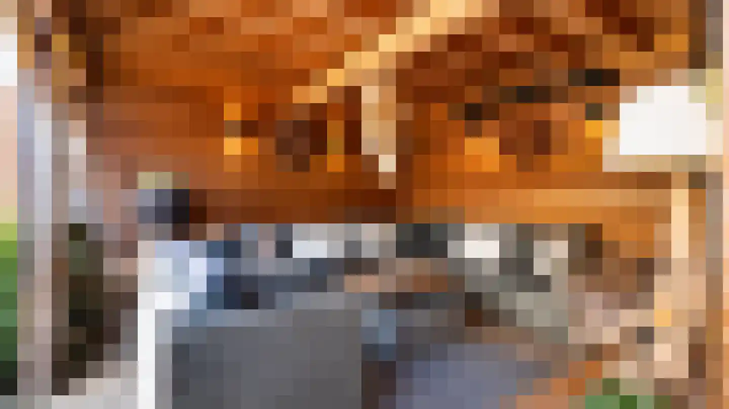 Obrechtlaan 20 Rotterdam thumbnail 14