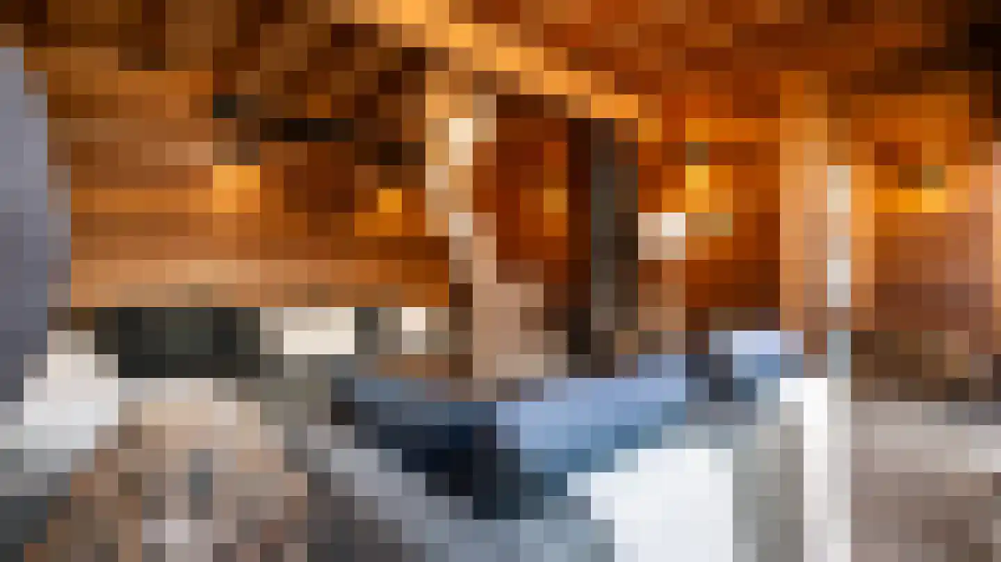 Obrechtlaan 20 Rotterdam thumbnail 15