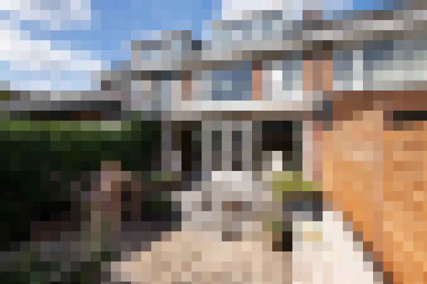 Obrechtlaan 20 Rotterdam thumbnail 16