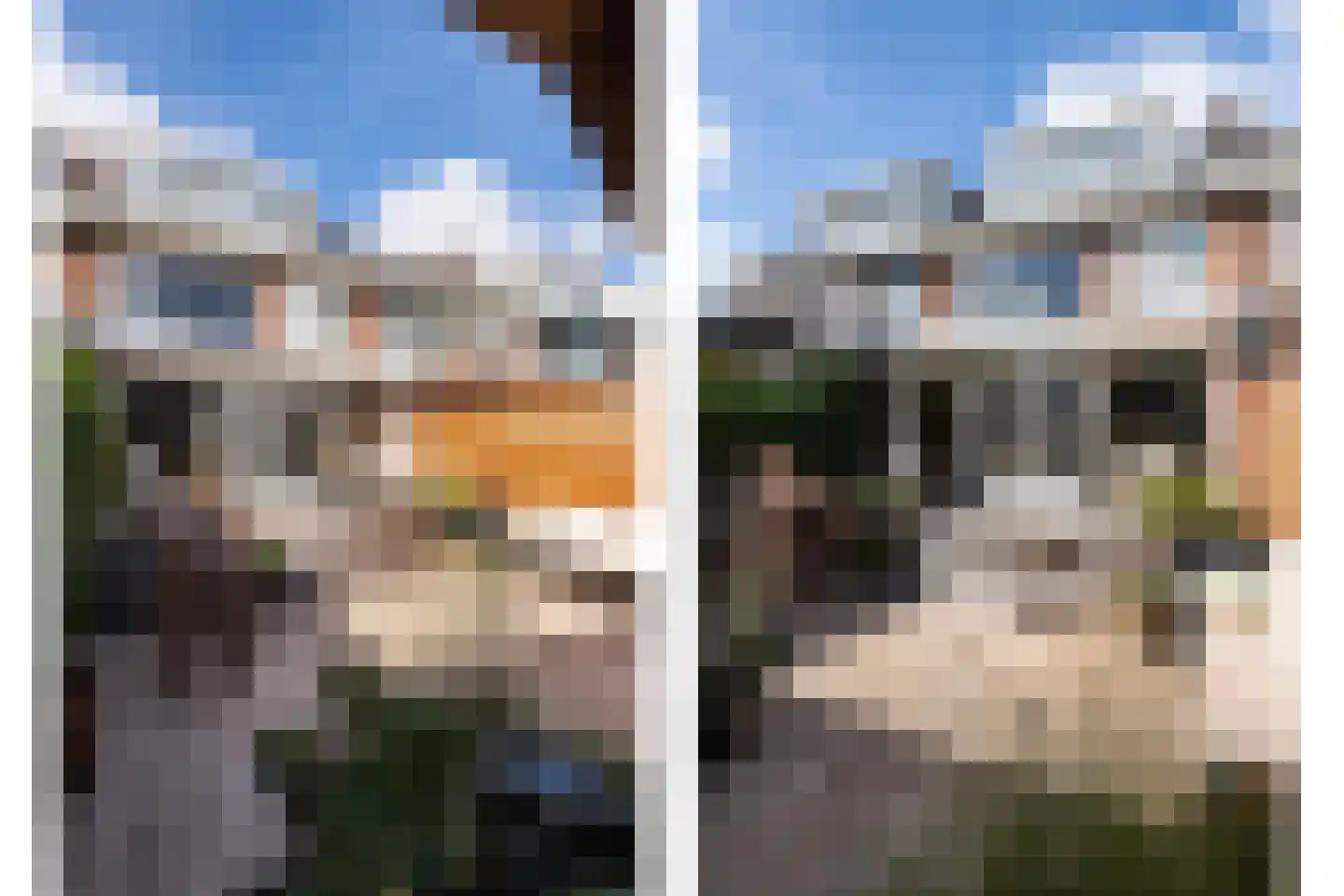 Obrechtlaan 20 Rotterdam thumbnail 17
