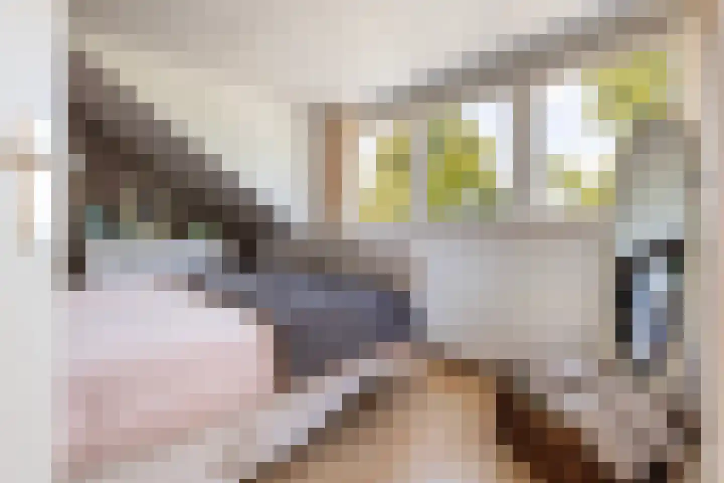 Obrechtlaan 20 Rotterdam thumbnail 25