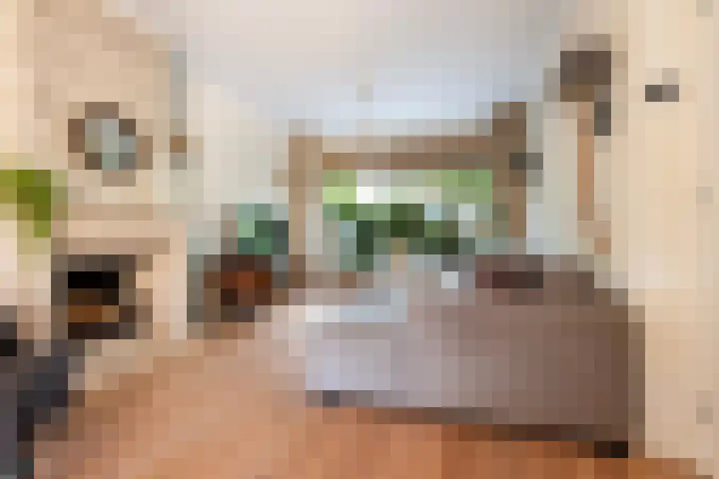 Obrechtlaan 20 Rotterdam thumbnail 6