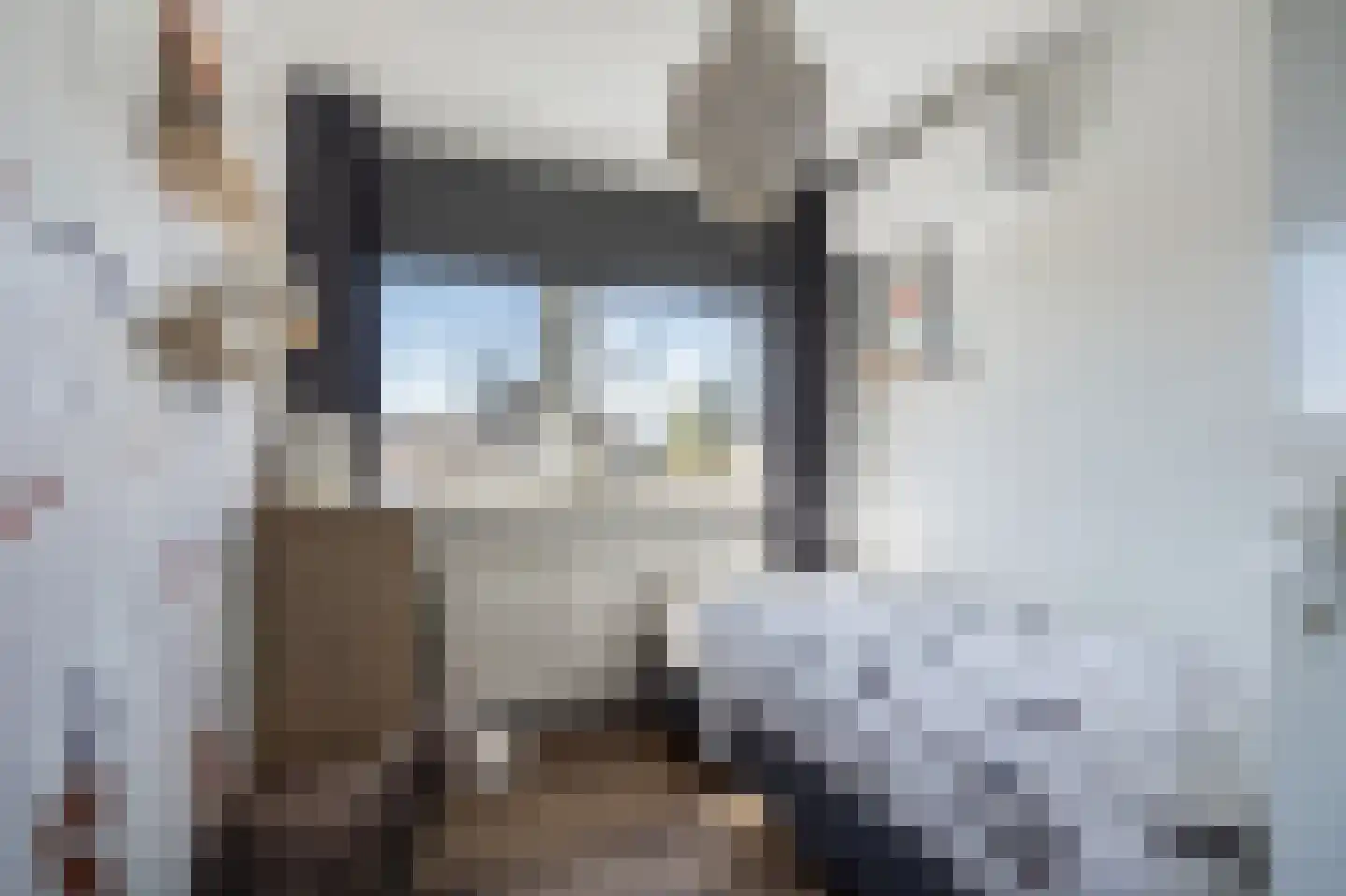 Obrechtlaan 27 Assen thumbnail 34