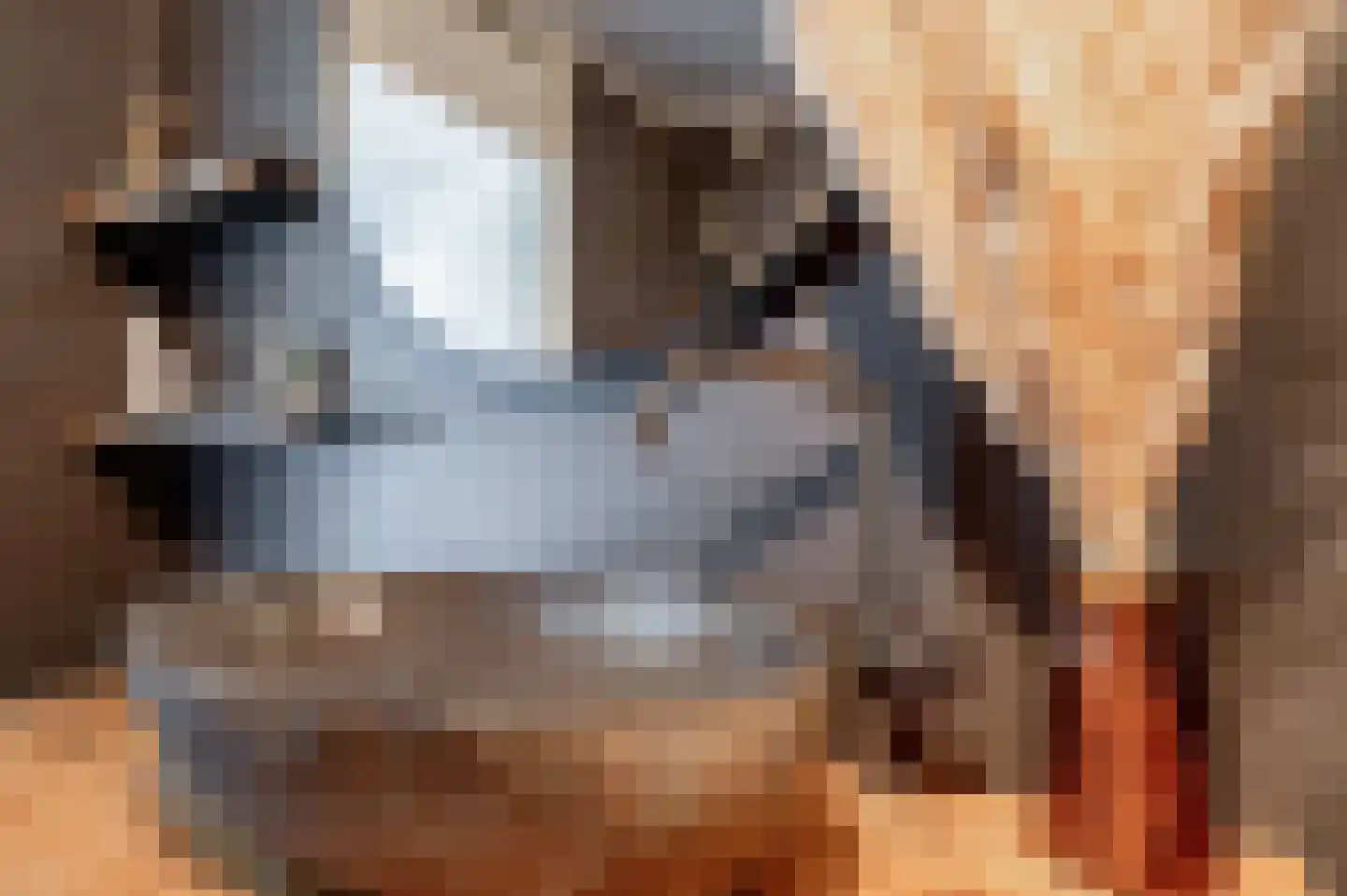 Obrechtlaan 27 Assen thumbnail 36