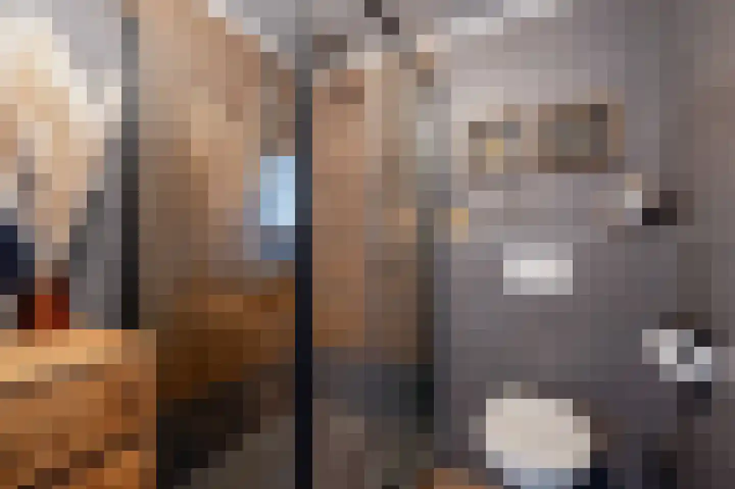 Obrechtlaan 27 Assen thumbnail 37