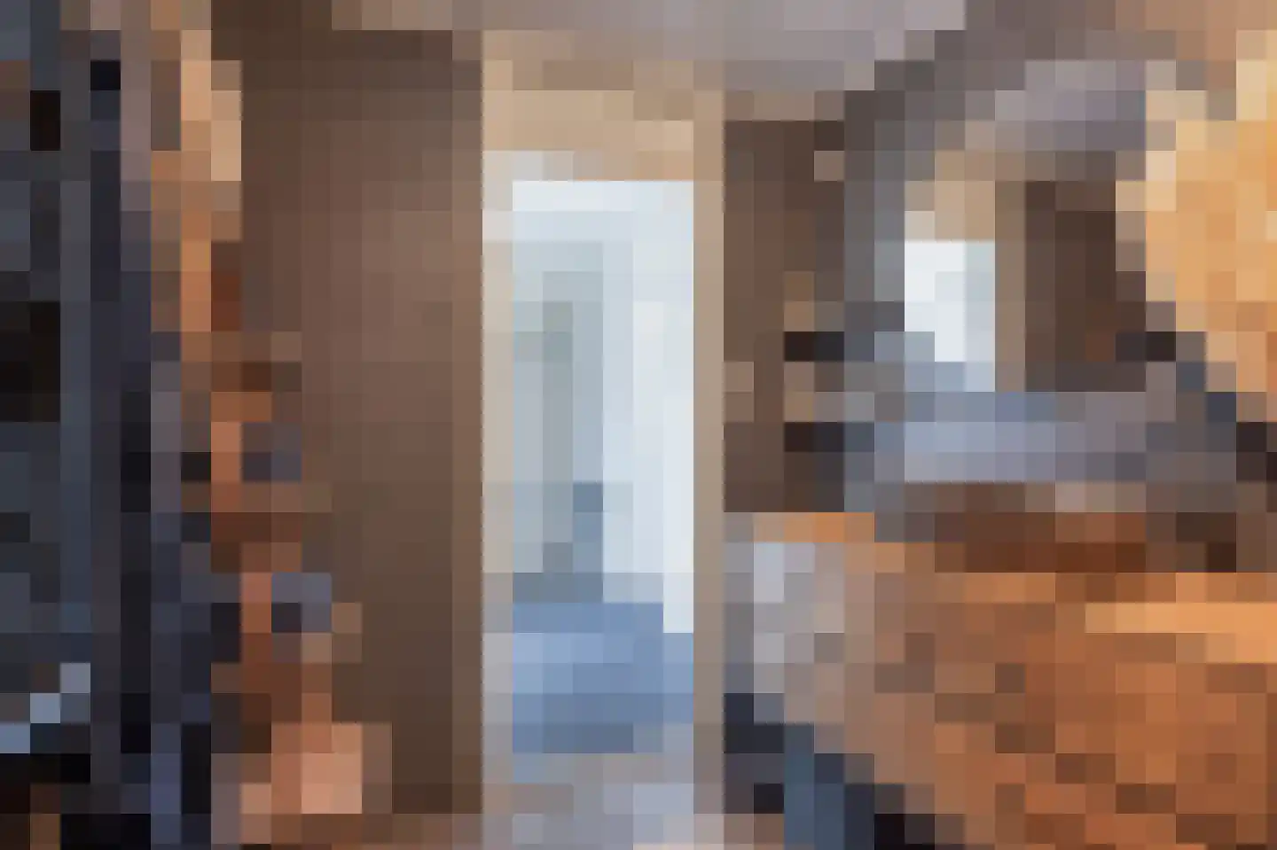 Obrechtlaan 27 Assen thumbnail 38