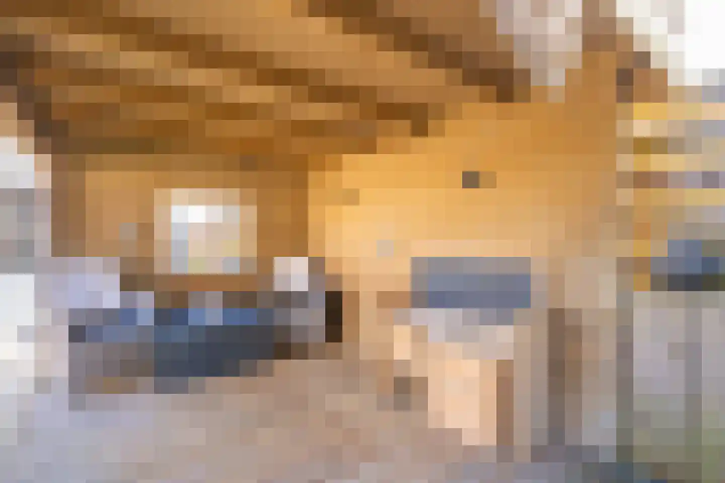 Obrechtlaan 27 Assen thumbnail 51