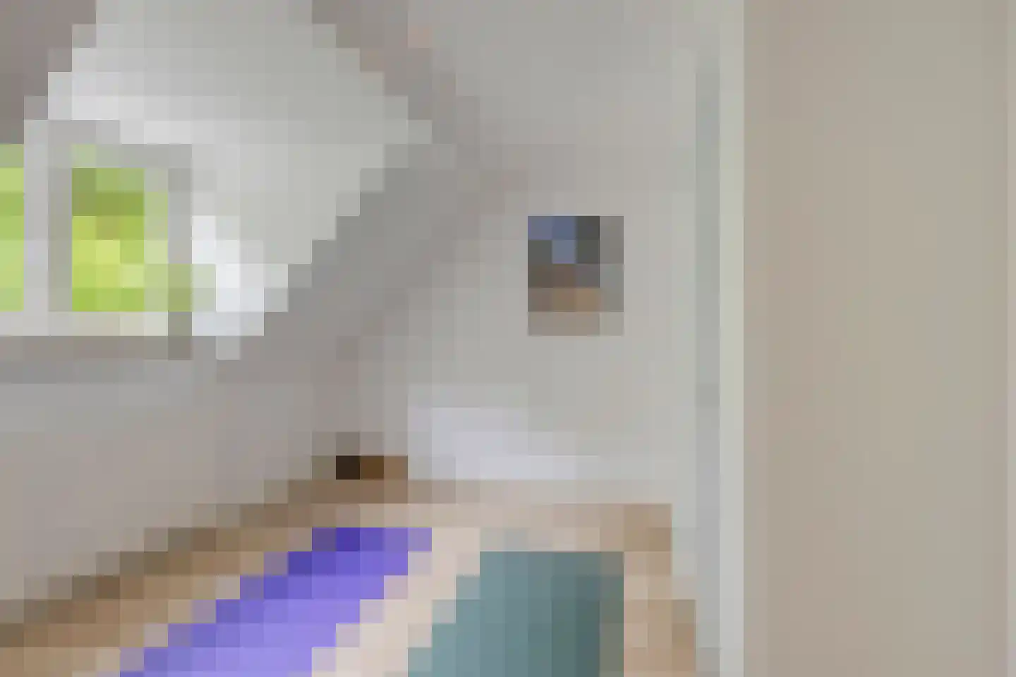Obrechtlaan 38 Eindhoven thumbnail 23