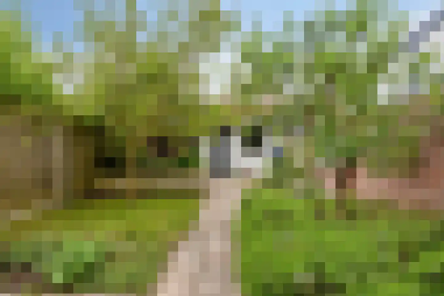 Obrechtlaan 38 Eindhoven thumbnail 27