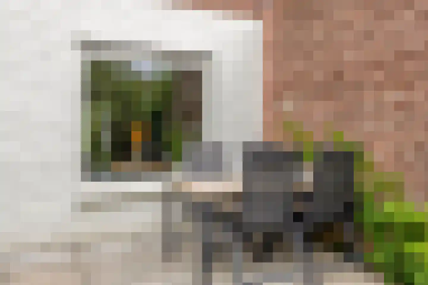 Obrechtlaan 38 Eindhoven thumbnail 28