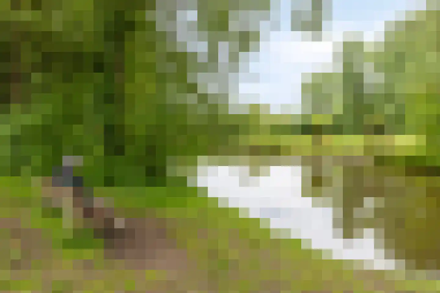 Obrechtlaan 38 Eindhoven thumbnail 33