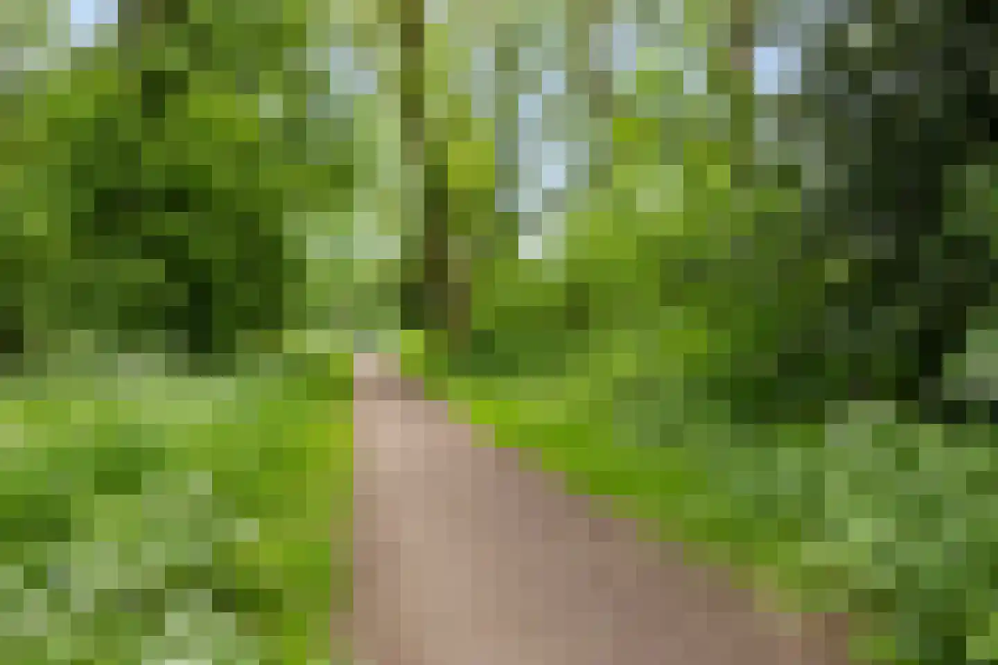 Obrechtlaan 38 Eindhoven thumbnail 34