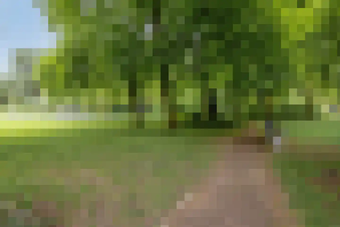 Obrechtlaan 38 Eindhoven thumbnail 35