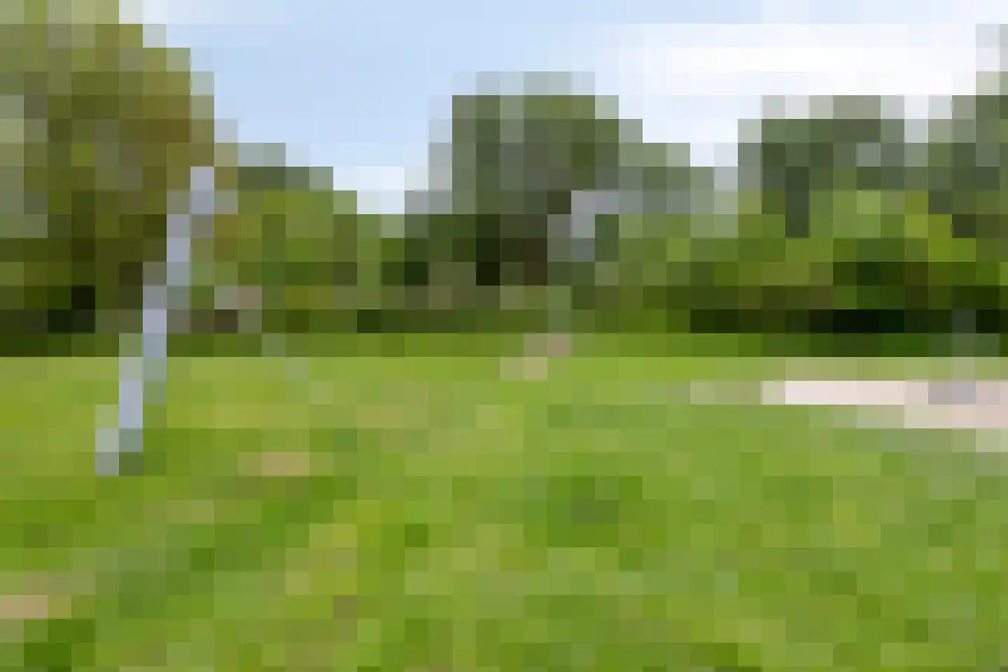 Obrechtlaan 38 Eindhoven thumbnail 37