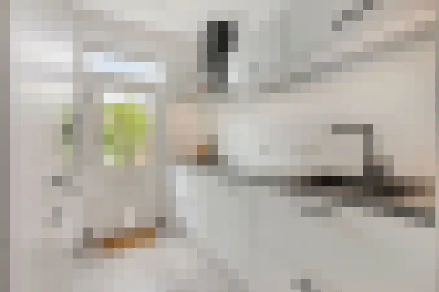 Obrechtlaan 38 Eindhoven thumbnail 9