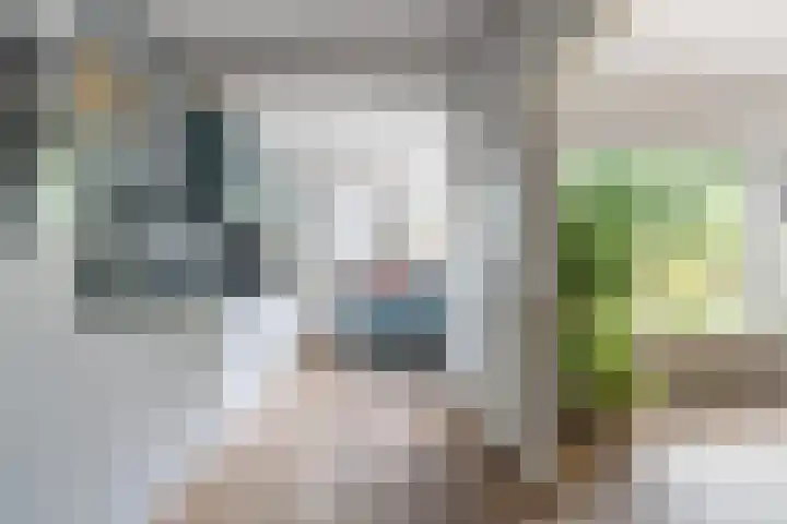 Obrechtlaan 43 Assen thumbnail 16