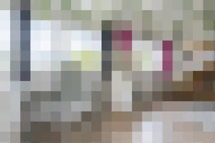 Obrechtlaan 43 Assen thumbnail 38