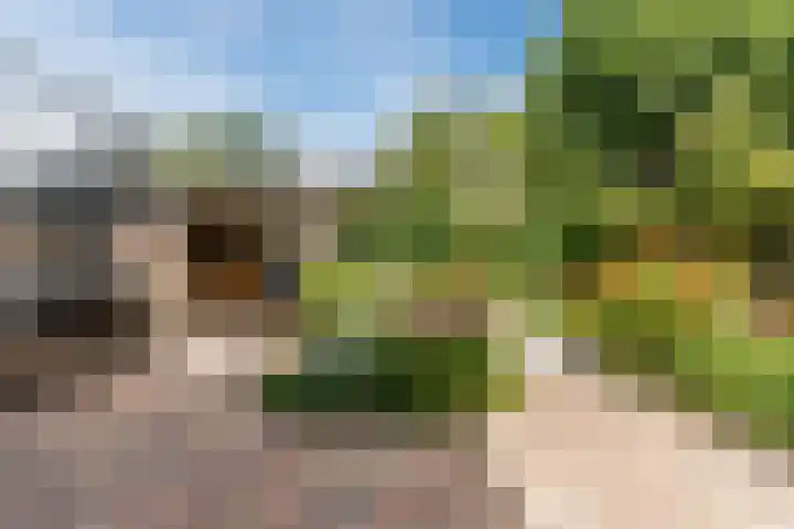 Obrechtlaan 43 Assen thumbnail 43