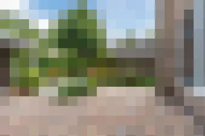 Obrechtlaan 43 Assen thumbnail 45