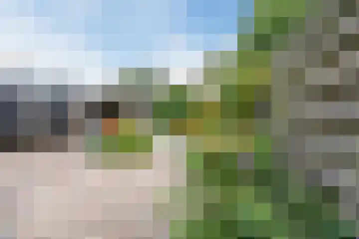 Obrechtlaan 43 Assen thumbnail 46