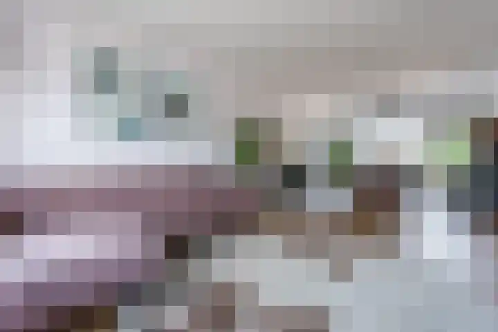 Obrechtlaan 43 Assen thumbnail 8