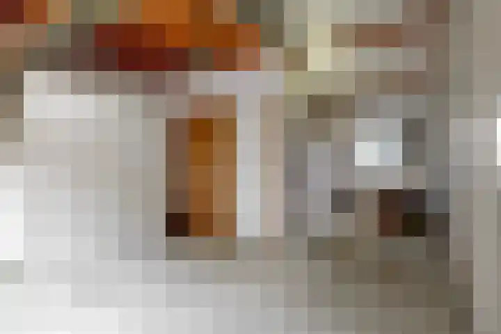 Obrechtlaan 50 Bilthoven thumbnail 36