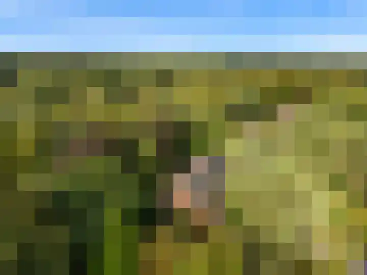 Obrechtlaan 50 Bilthoven thumbnail 4