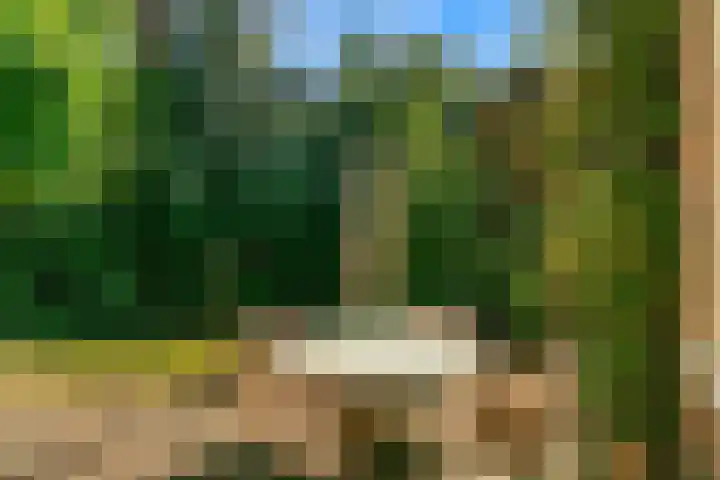 Obrechtlaan 50 Bilthoven thumbnail 42