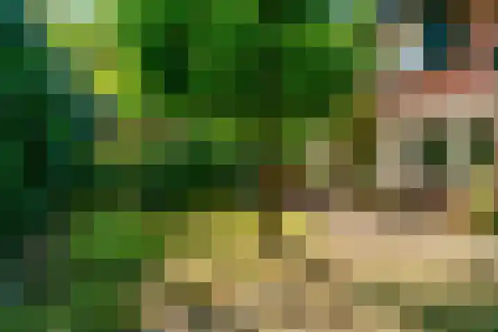 Obrechtlaan 50 Bilthoven thumbnail 44