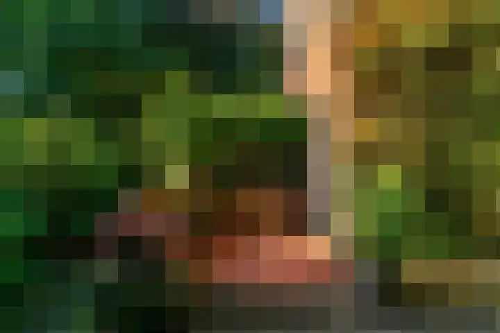 Obrechtlaan 50 Bilthoven thumbnail 45