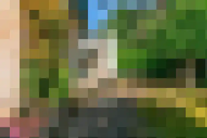 Obrechtlaan 50 Bilthoven thumbnail 46