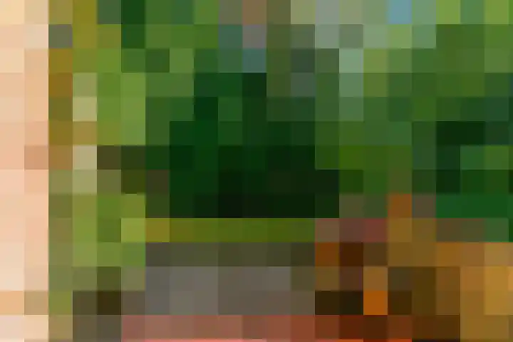 Obrechtlaan 50 Bilthoven thumbnail 47