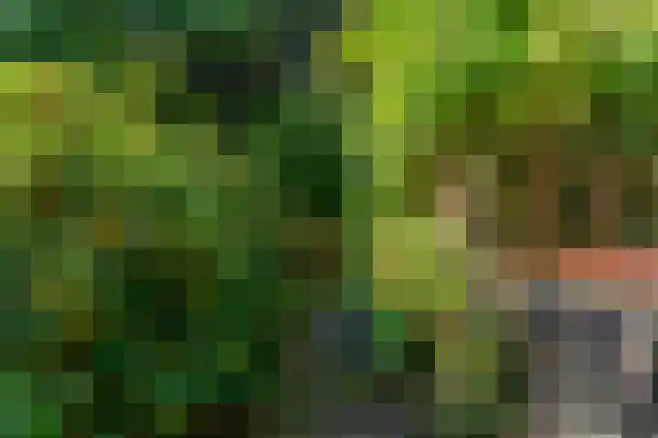 Obrechtlaan 50 Bilthoven thumbnail 48