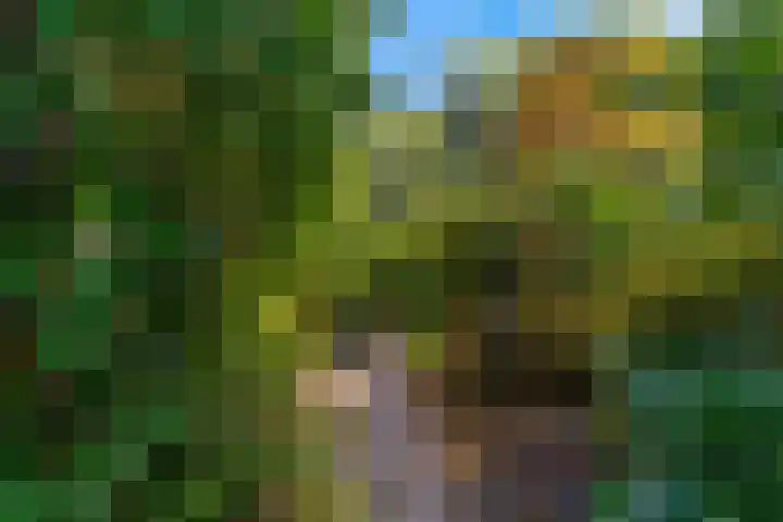 Obrechtlaan 50 Bilthoven thumbnail 49