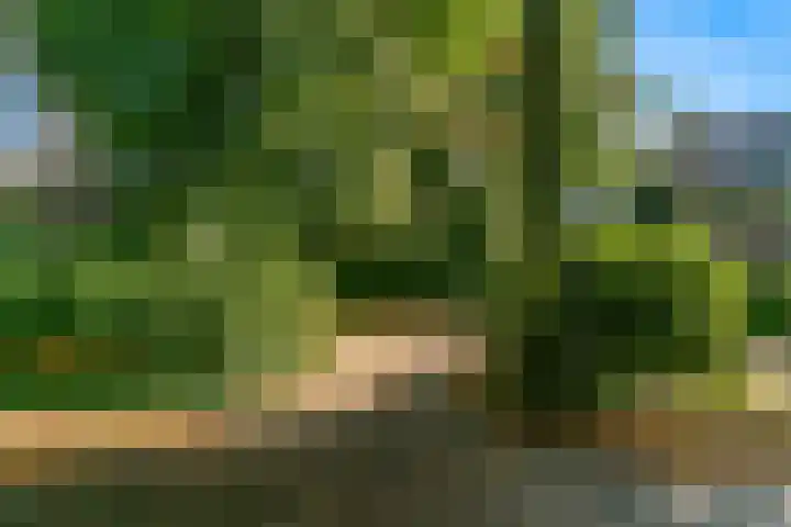Obrechtlaan 50 Bilthoven thumbnail 5