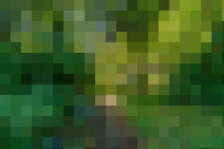 Obrechtlaan 50 Bilthoven thumbnail 50