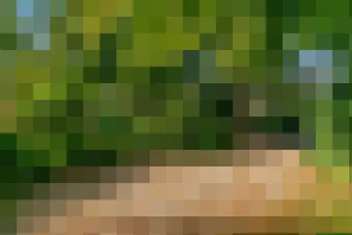 Obrechtlaan 50 Bilthoven thumbnail 51