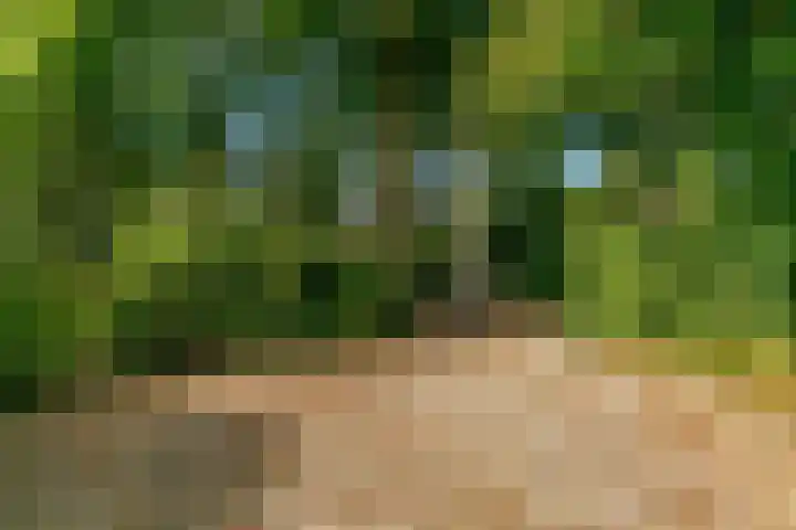 Obrechtlaan 50 Bilthoven thumbnail 52