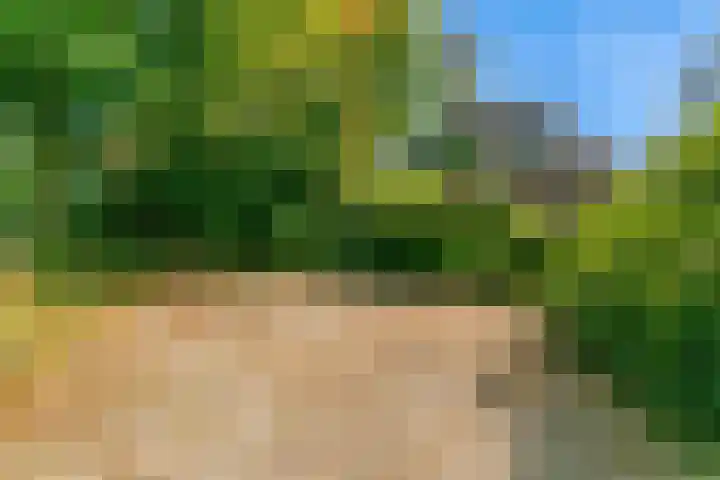 Obrechtlaan 50 Bilthoven thumbnail 53
