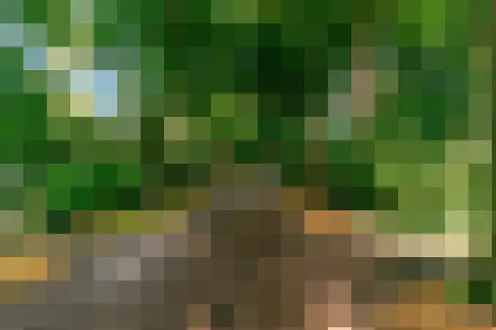 Obrechtlaan 50 Bilthoven thumbnail 54