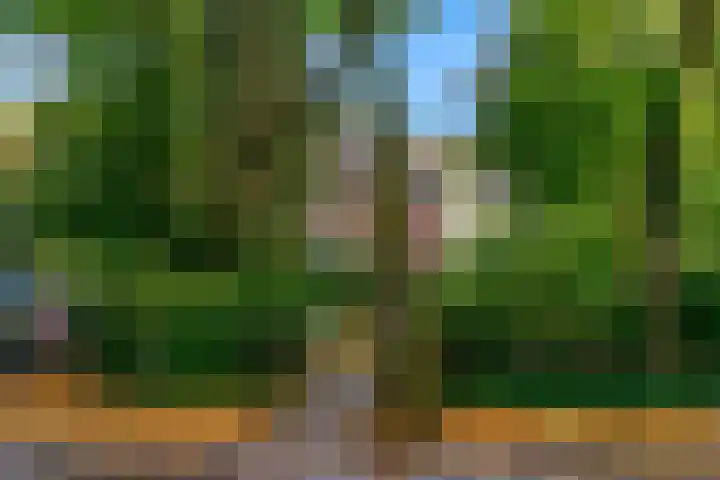 Obrechtlaan 50 Bilthoven thumbnail 55