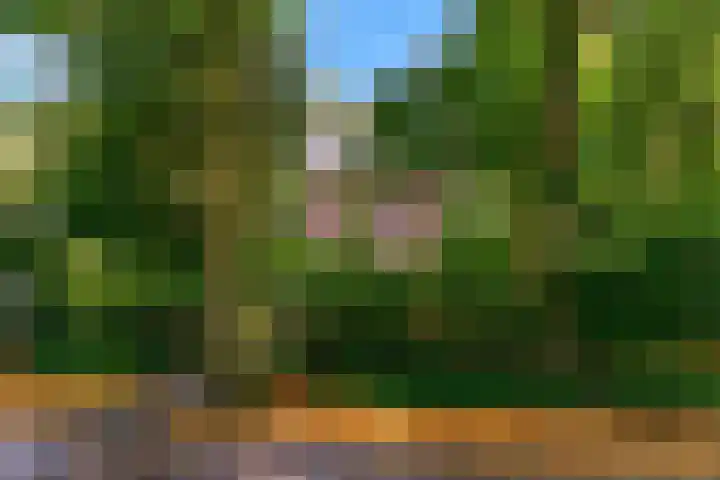 Obrechtlaan 50 Bilthoven thumbnail 56