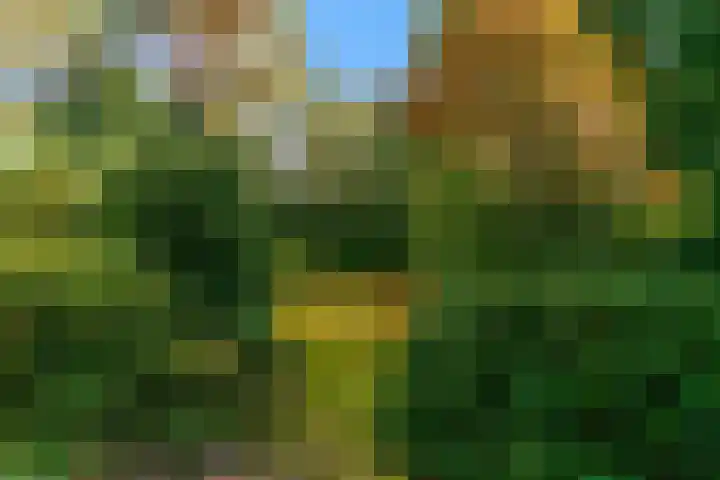 Obrechtlaan 50 Bilthoven thumbnail 57