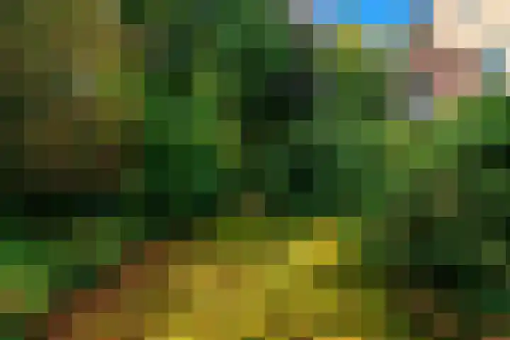 Obrechtlaan 50 Bilthoven thumbnail 58