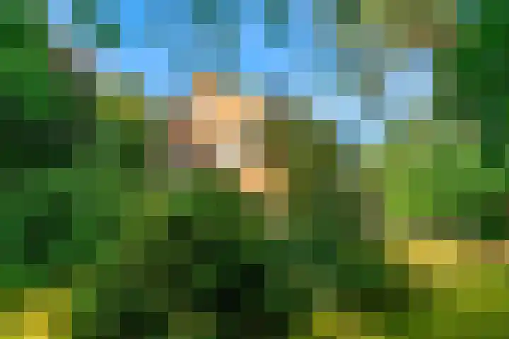 Obrechtlaan 50 Bilthoven thumbnail 59