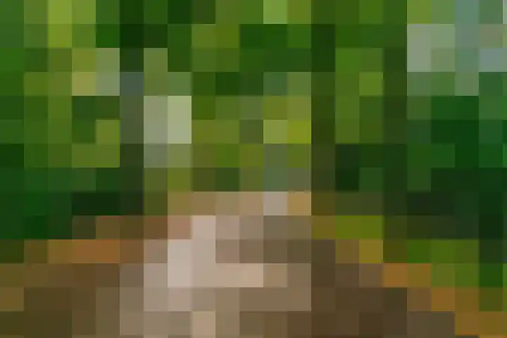 Obrechtlaan 50 Bilthoven thumbnail 6