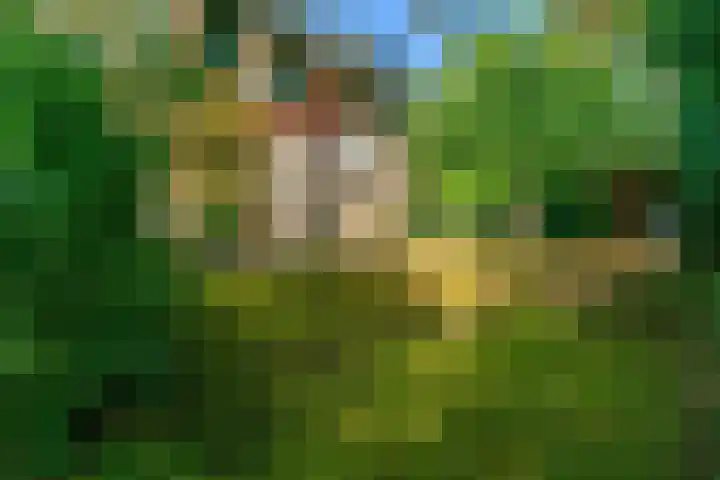 Obrechtlaan 50 Bilthoven thumbnail 60